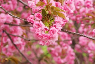 无锡江阴5线下个人借款平台一站式服务，轻松解决资金难题