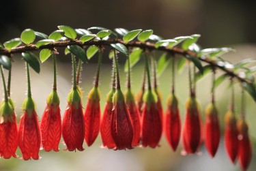 无锡江阴5零用贷短借：轻松解决临时资金需求