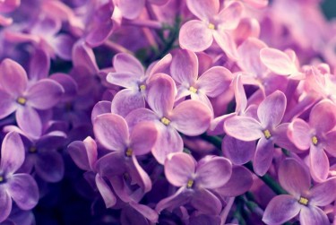 无锡江阴5企业急用钱贷款攻略：快速融资解燃眉之急